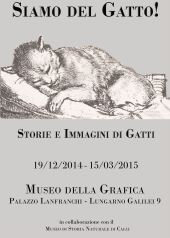 gatto-barocci-perla-50x70